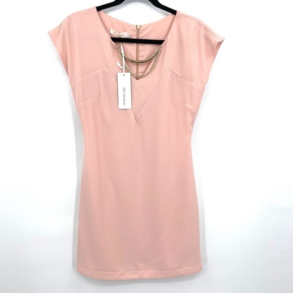 NWT GIL SANTUCCI Pink Cap Sleeve Gold Detail Back Zip Mini Dress Size 42 (6 US) - Picture 1 of 9